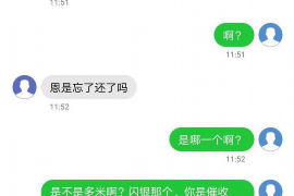 黔南黔南的要账公司在催收过程中的策略和技巧有哪些？